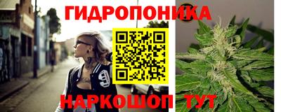 прущие крисы Бузулук