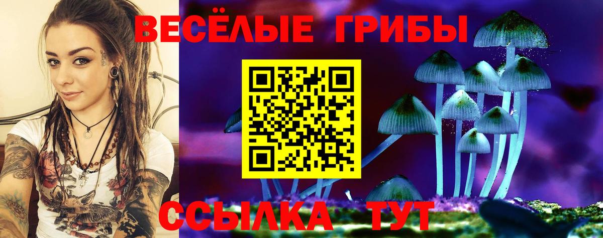 Галлюциногенные грибы MAGIC MUSHROOMS  Вход с VPN  где найти   Луховицы 